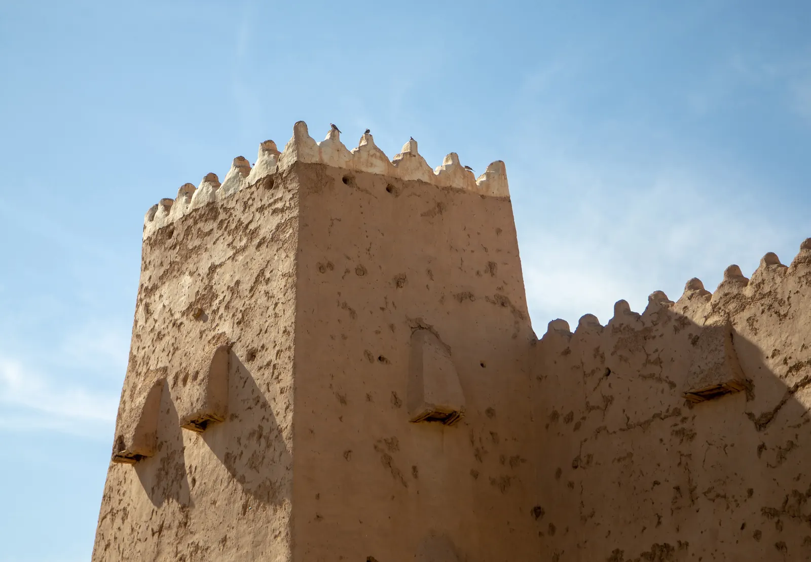 برج قصر القشلة وسوره الطيني في حائل